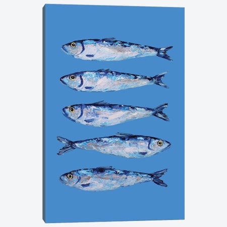 Sardines On Blue Canvas Print #AIE72} by Alice Straker Canvas Print