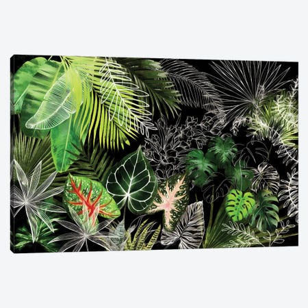 Tropical Foliage IV Canvas Print #AII130} by amini54 Art Print