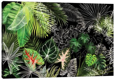Tropical Foliage IV Canvas Art Print - amini54