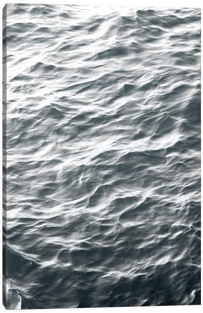 Ocean XXIX Canvas Art Print - amini54