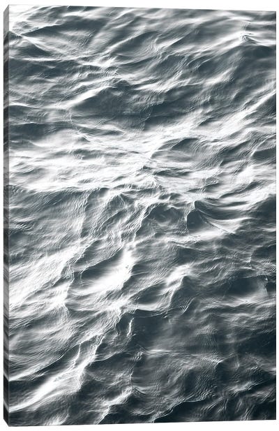 Ocean XXX Canvas Art Print - amini54