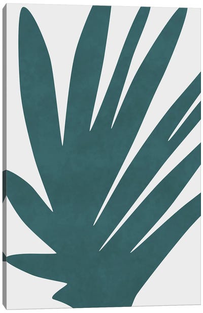 Fan Palm Leaves Canvas Art Print - amini54