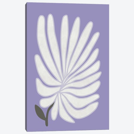 White Chrysanthemum Canvas Print #AII299} by amini54 Canvas Artwork