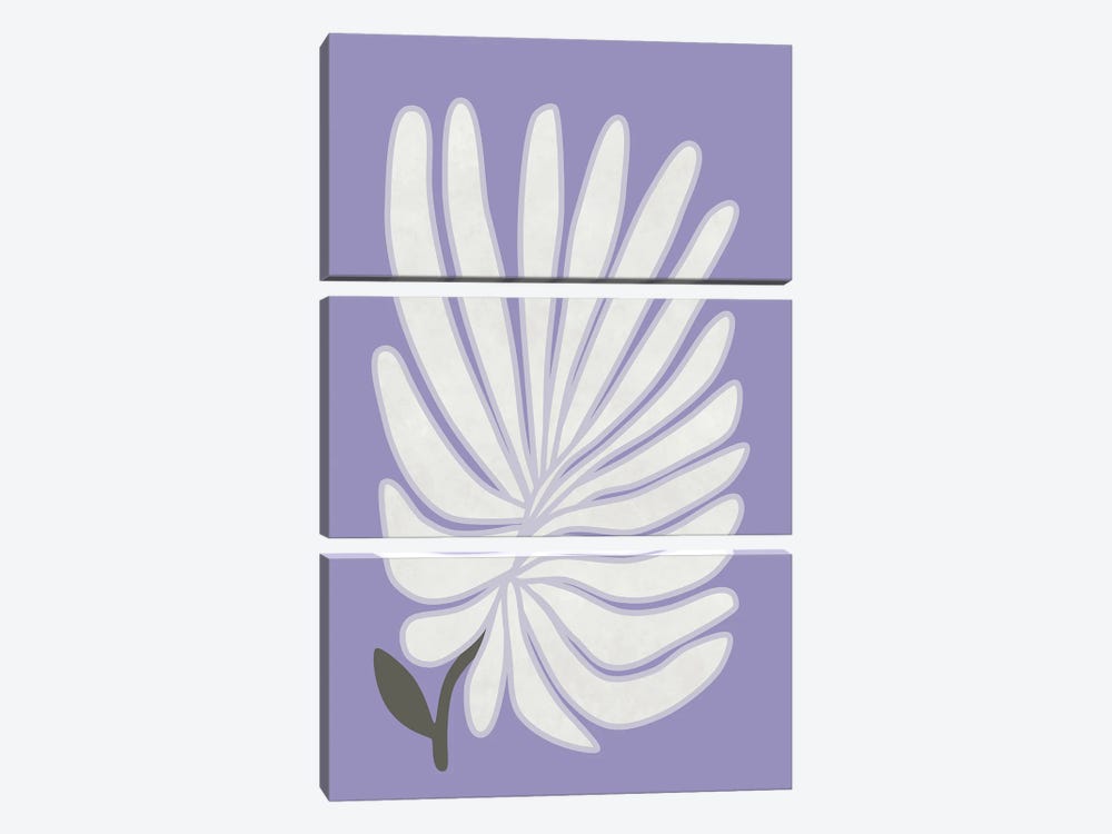 White Chrysanthemum by amini54 3-piece Canvas Art Print