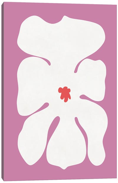 White Orchid Canvas Art Print - amini54