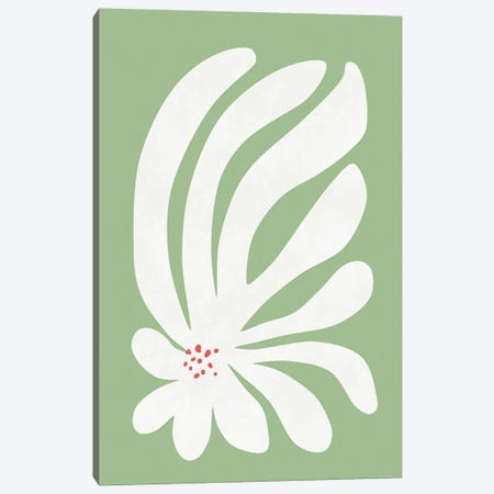 White Chrysanthemum Flower Canvas Print #AII305} by amini54 Canvas Print