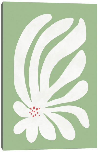 White Chrysanthemum Flower Canvas Art Print - amini54
