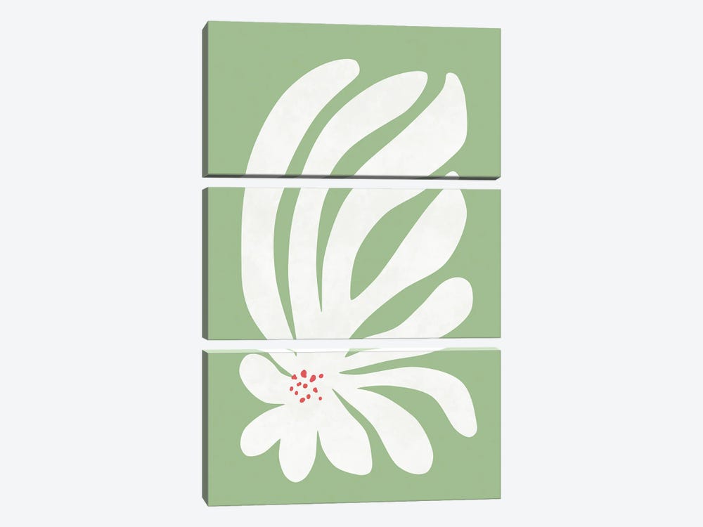 White Chrysanthemum Flower by amini54 3-piece Art Print