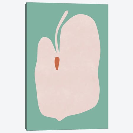 Pink Anthurium Canvas Print #AII306} by amini54 Art Print
