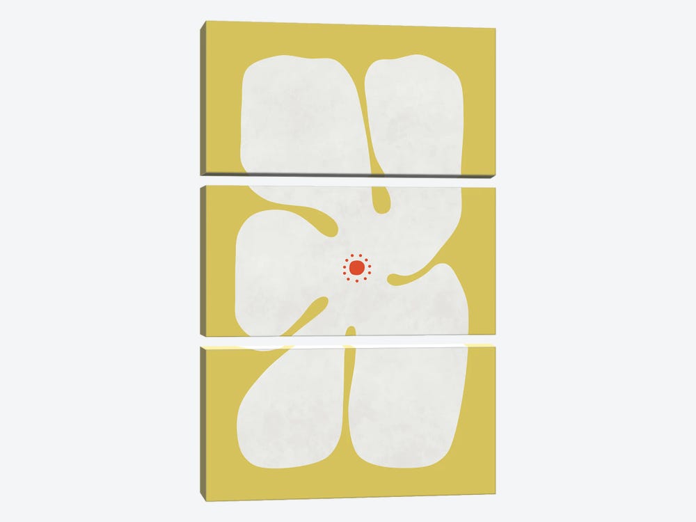 White Poppy Flower by amini54 3-piece Canvas Art Print