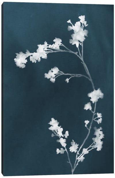 Monograph Blue Botanical Canvas Art Print - Minimalist Flowers