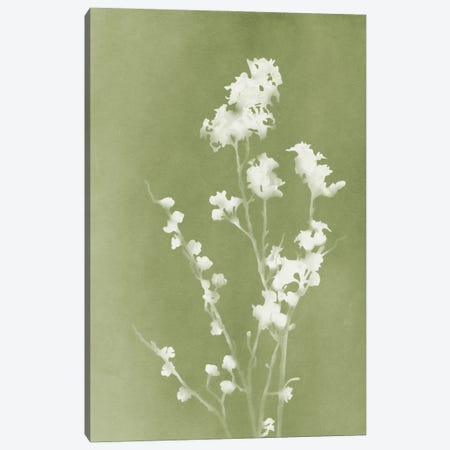 Monograph Green Botanical Canvas Print #AII328} by amini54 Canvas Art