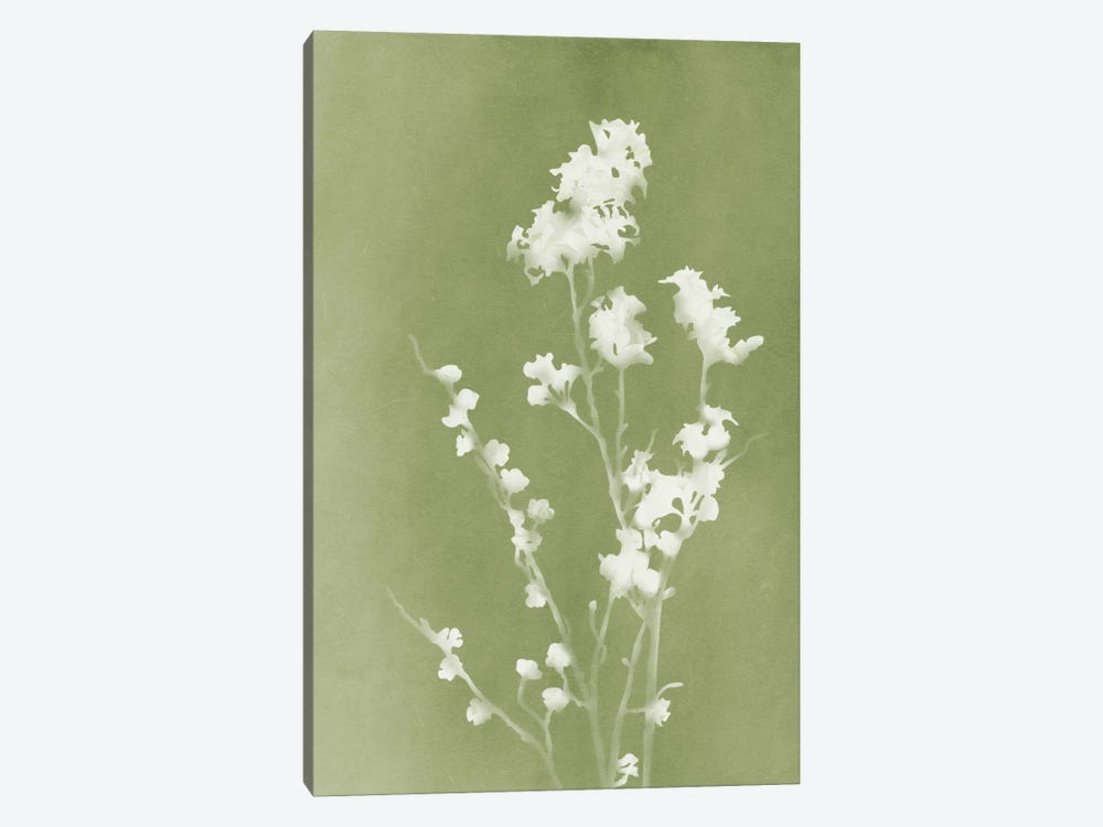 Monograph Green Botanical by amini54 1-piece Canvas Art