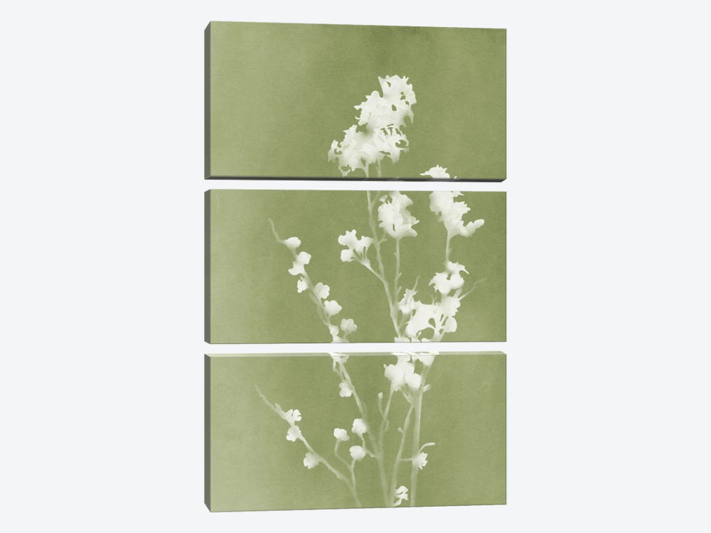 Monograph Green Botanical by amini54 3-piece Canvas Art