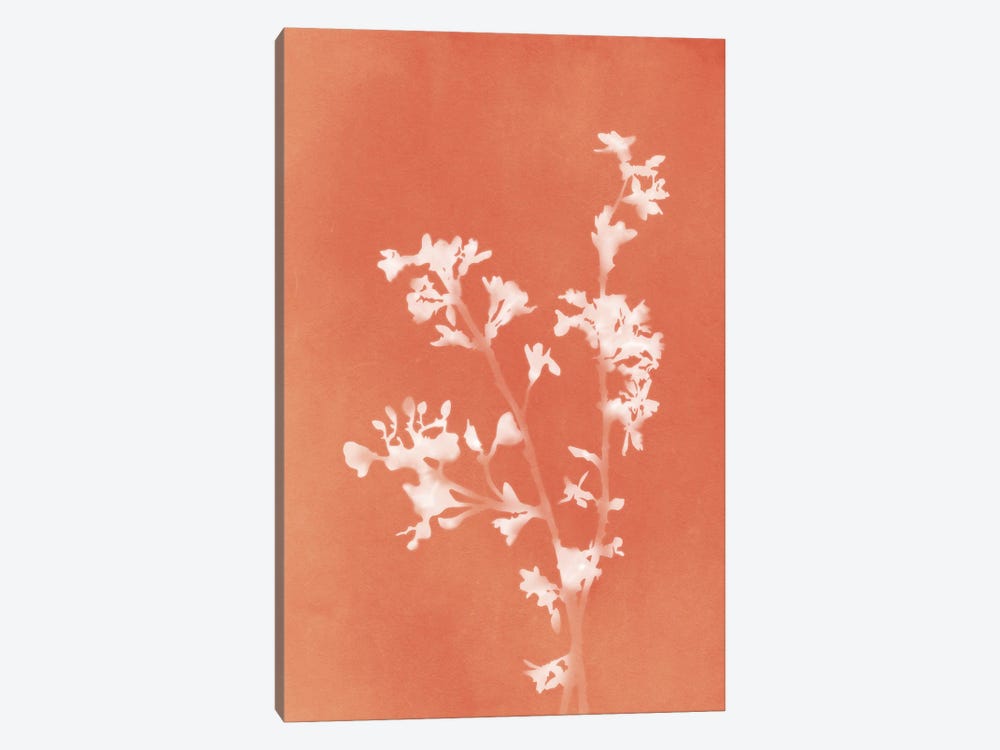 Monograph Orange Botanical by amini54 1-piece Canvas Art Print
