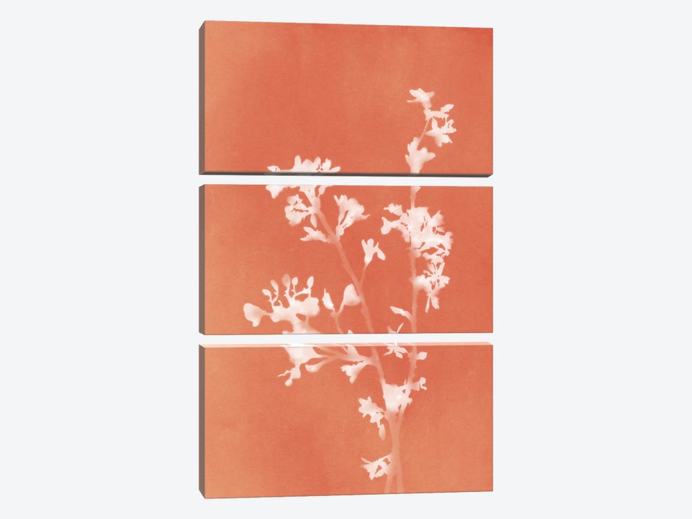 Monograph Orange Botanical by amini54 3-piece Canvas Art Print