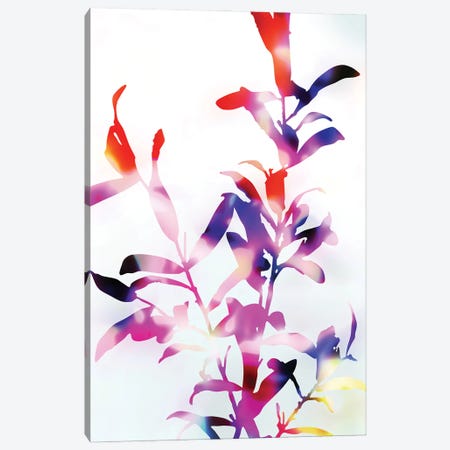 Florescence Viola Canvas Print #AII333} by amini54 Canvas Print