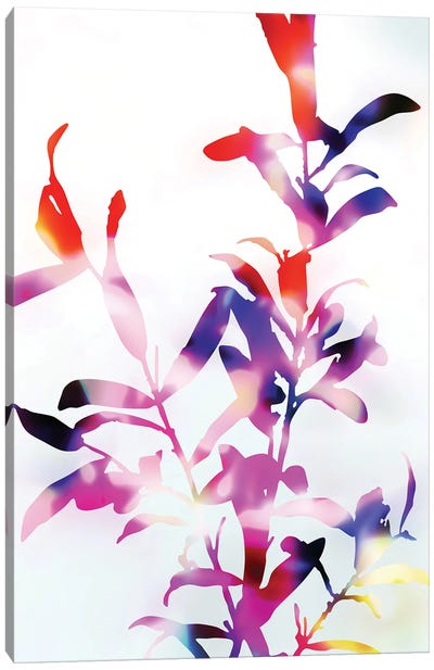 Florescence Viola Canvas Art Print - amini54
