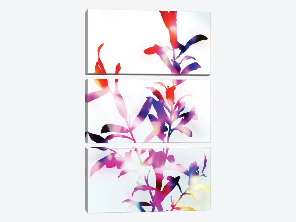 Florescence Viola by amini54 3-piece Canvas Art