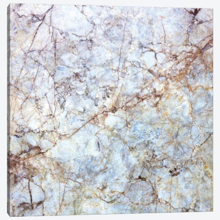 Rich Marble Canvas Print #AII35} by amini54 Canvas Wall Art