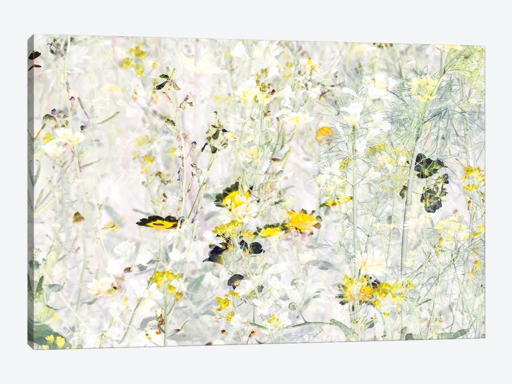 Wild Flowers VIII by amini54 1-piece Canvas Print