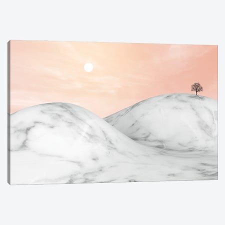 Marble Landscape VIII Canvas Print #AII43} by amini54 Canvas Art