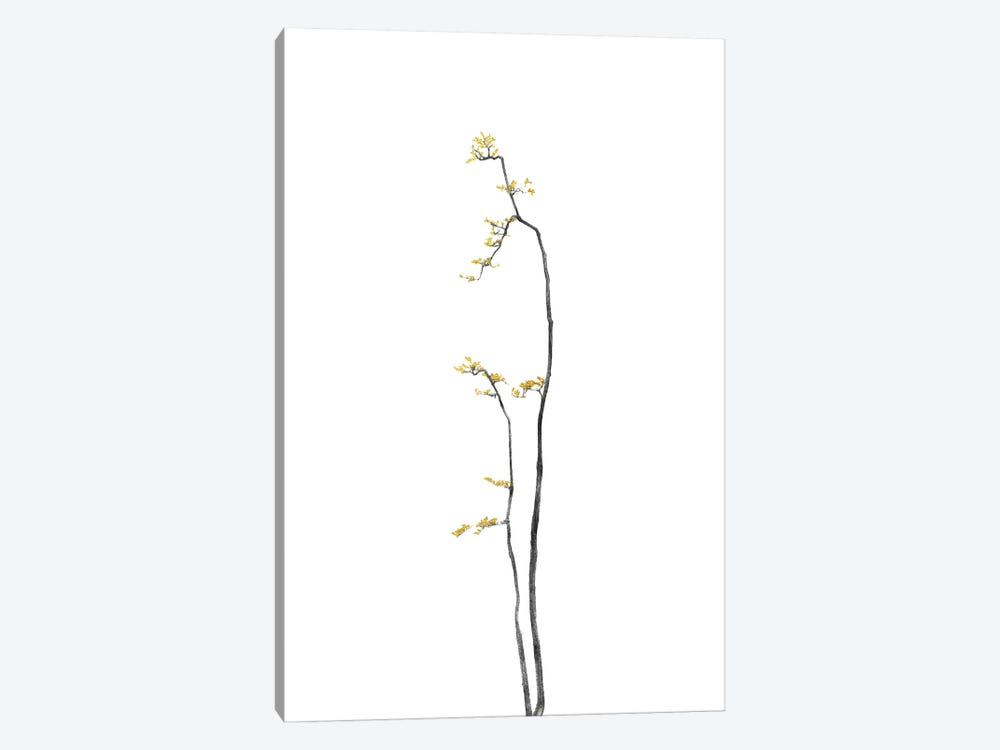 Minimal Botanical - Bonsai Tree I by amini54 1-piece Art Print