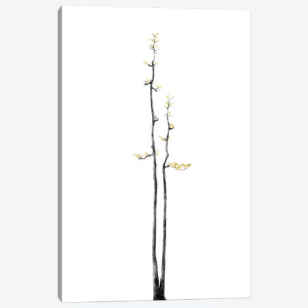 Minimal Botanical - Bonsai Tree II Canvas Print #AII49} by amini54 Canvas Artwork