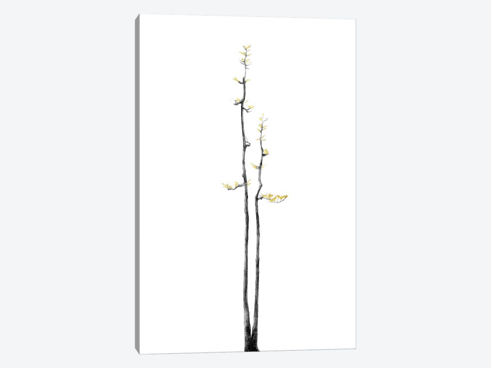 Minimal Botanical - Bonsai Tree II by amini54 1-piece Canvas Art