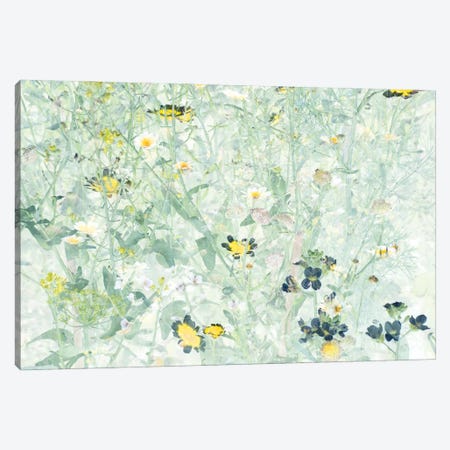 Wild Flowers V Canvas Print #AII4} by amini54 Canvas Print