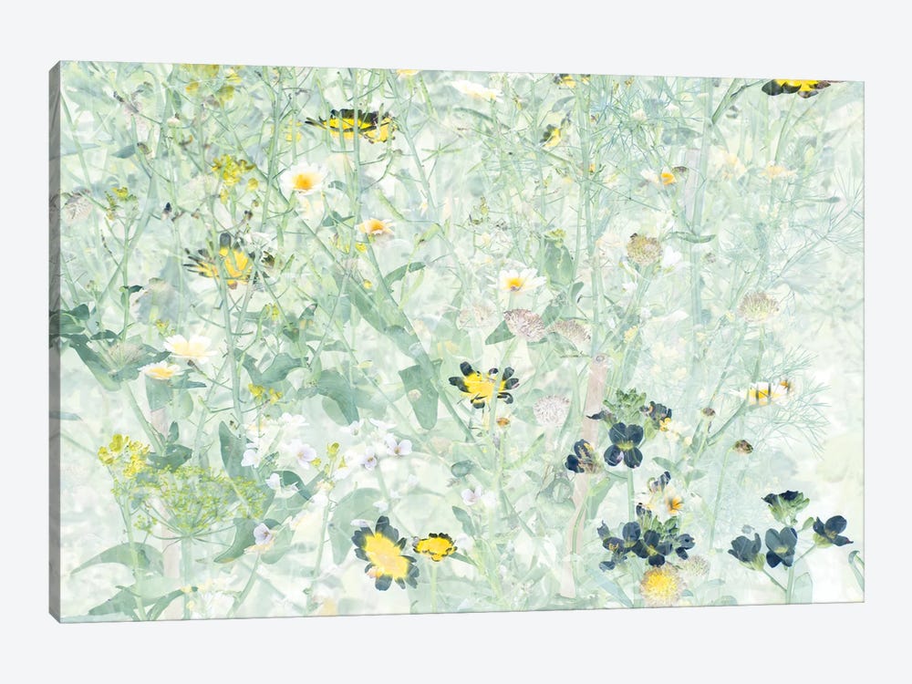 Wild Flowers V by amini54 1-piece Canvas Art