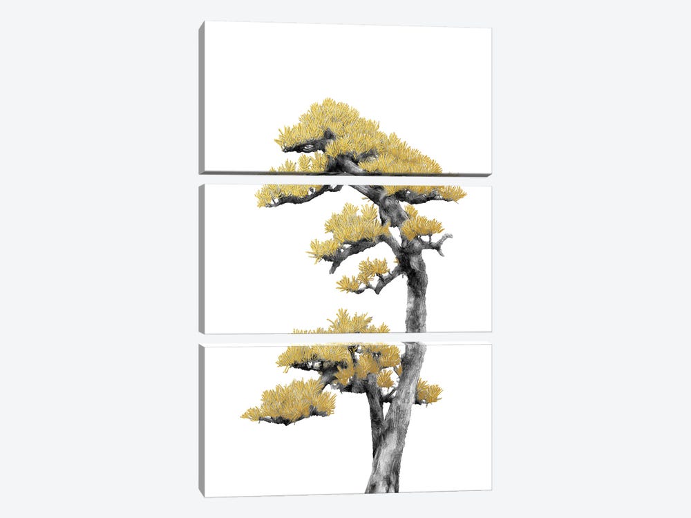 Minimal Botanical - Bonsai Tree IV by amini54 3-piece Canvas Artwork