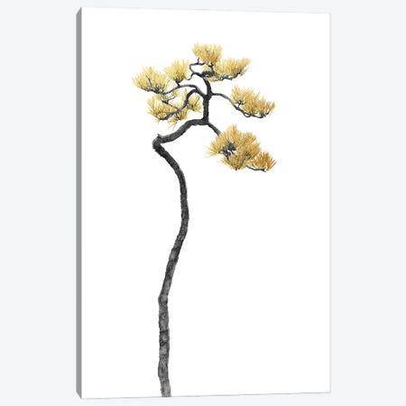 Minimal Botanical - Bonsai Tree V Canvas Print #AII51} by amini54 Art Print