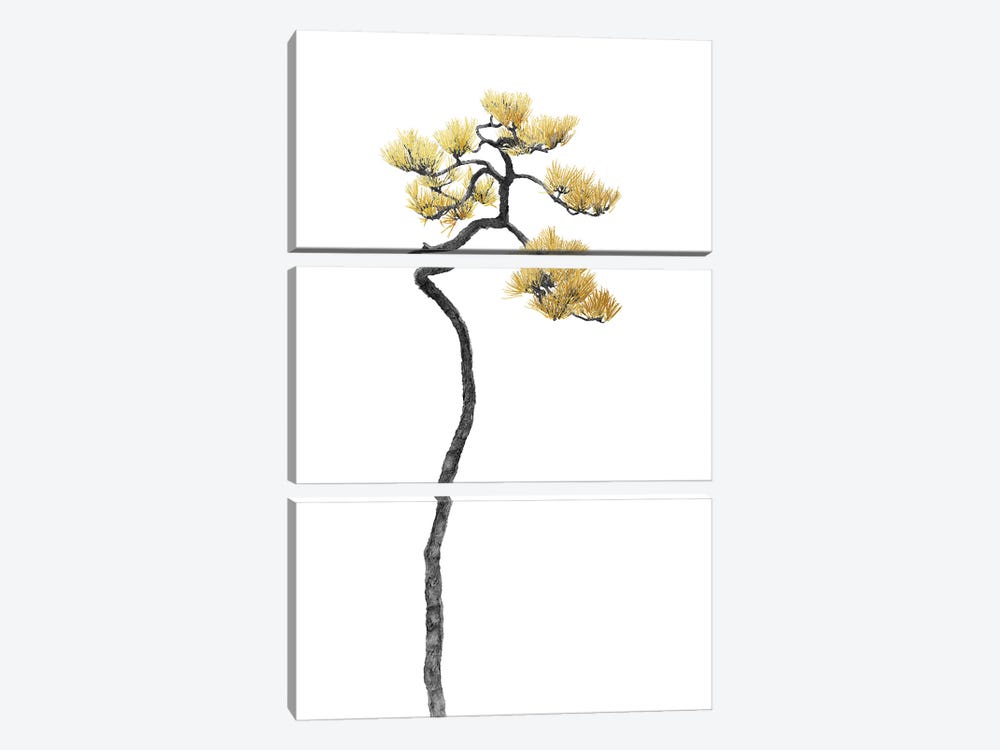 Minimal Botanical - Bonsai Tree V by amini54 3-piece Canvas Print