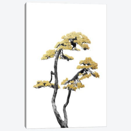 Minimal Botanical - Bonsai Tree VI Canvas Print #AII52} by amini54 Canvas Art Print
