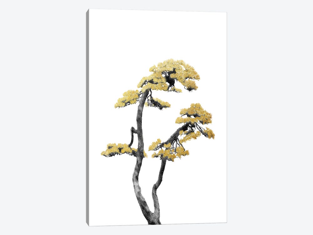 Minimal Botanical - Bonsai Tree VI by amini54 1-piece Canvas Artwork
