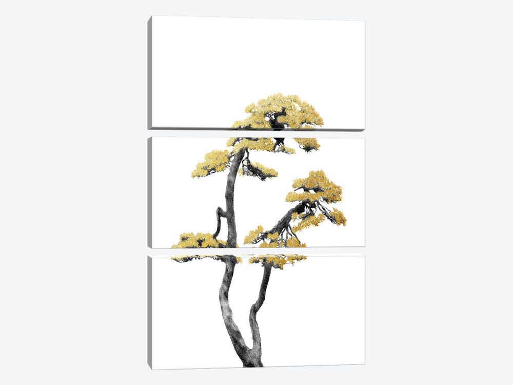 Minimal Botanical - Bonsai Tree VI by amini54 3-piece Canvas Artwork