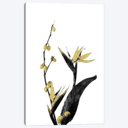 Minimal Botanical - Flower Minimal Black and Gold II Canvas Print #AII53} by amini54 Canvas Print