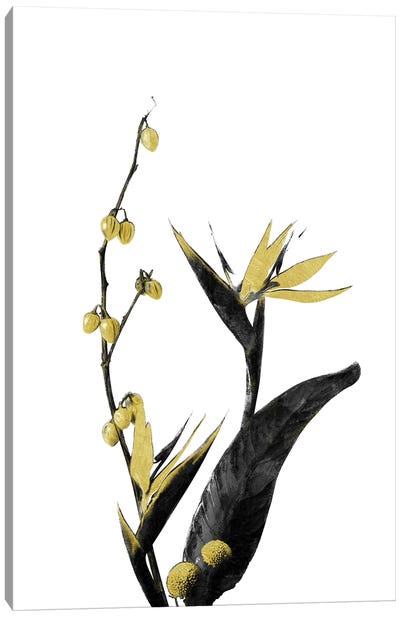 Minimal Botanical - Flower Minimal Black and Gold II Canvas Art Print - amini54
