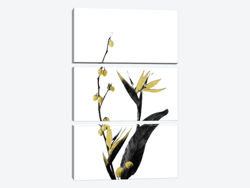 Minimal Botanical - Flower Minimal Black and Gold II by amini54 3-piece Art Print