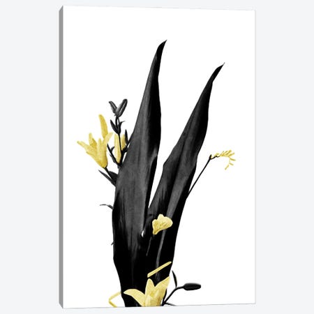 Minimal Botanical - Flower Minimal Black and Gold III Canvas Print #AII54} by amini54 Canvas Art