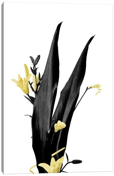 Minimal Botanical - Flower Minimal Black and Gold III Canvas Art Print - amini54