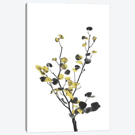 Minimal Botanical - Flower Minimal Black and Gold VII Canvas Print #AII57} by amini54 Canvas Artwork