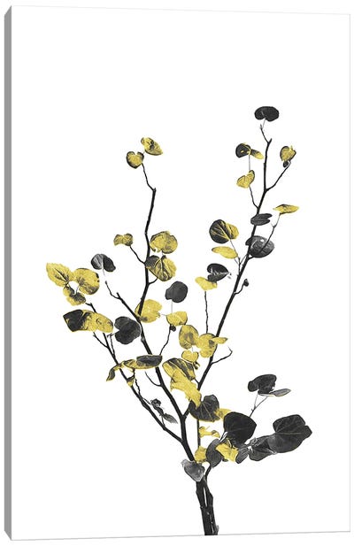 Minimal Botanical - Flower Minimal Black and Gold VII Canvas Art Print - amini54
