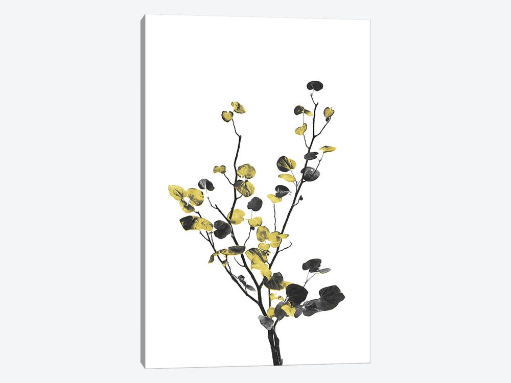 Minimal Botanical - Flower Minimal Black and Gold VII by amini54 1-piece Canvas Art Print