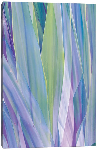 Violet and Green Palm Leaves Abstraction Canvas Art Print - Tropical Leaf Art