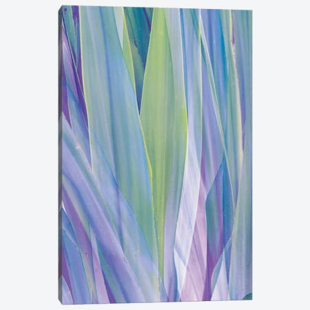 Violet and Green Palm Leaves Abstraction Canvas Print #AII5} by amini54 Canvas Print