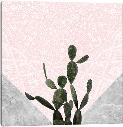 Cactus on Concrete and Pink Persian Mosaic Mandala Canvas Art Print - Mandala Art