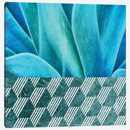Turquoise Agave on Hexagonal Ceramic Tiles Canvas Print #AII78} by amini54 Canvas Art Print