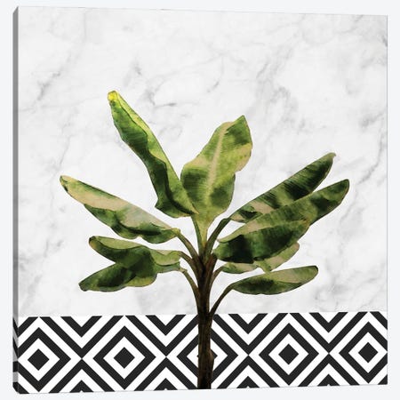 Banana Plant on White Marble and Checker Canvas Print #AII79} by amini54 Art Print